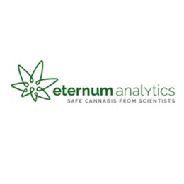 Eternum Analytics 