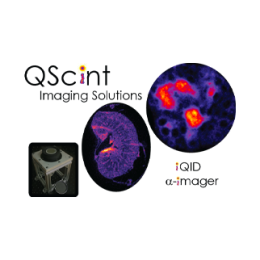 QScint Imaging Solutions